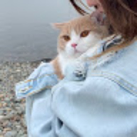 Meet your Posher, Lin - Picture 1 of 1